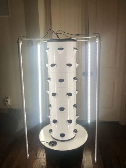 Lindas varinhas naturais hemimorfitas de ponta única torre de colunas de cristal